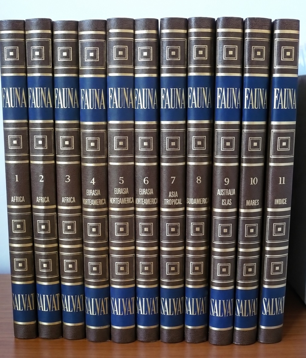 Tomo tras tomo en los anaqueles de la biblioteca familiar